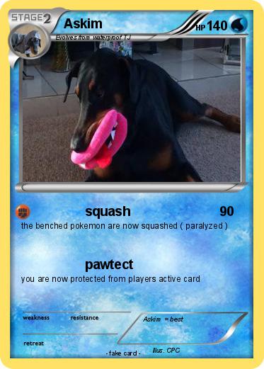 Pokemon Askim