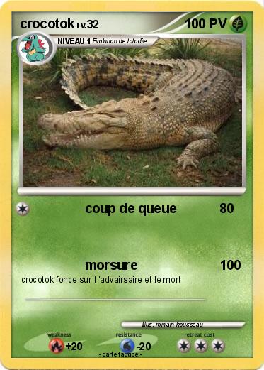 Pokemon crocotok