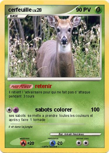 Pokemon cerfeuille