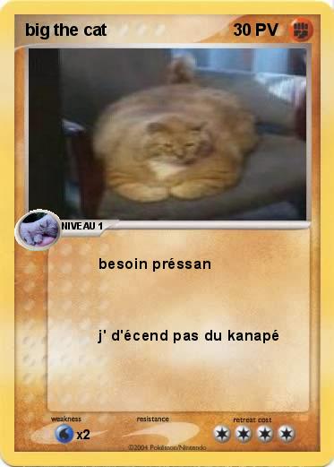 Pokemon big the cat