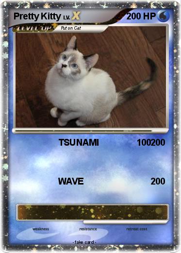 Pokemon Pretty Kitty