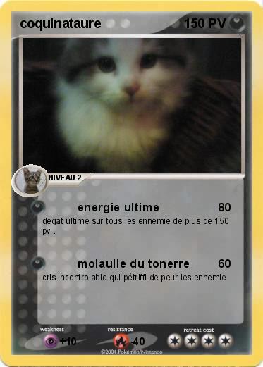 Pokemon coquinataure