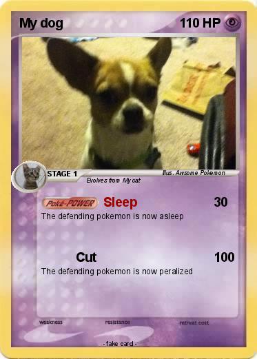 Pokemon My dog
