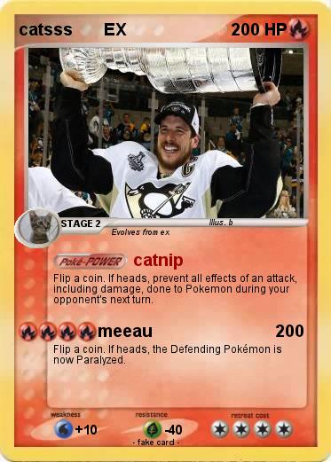 Pokemon catsss       EX