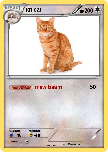 Pokemon kit cat