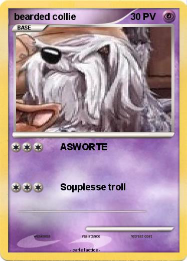 Pokemon bearded collie