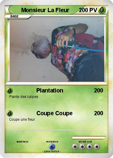 Pokemon Monsieur La Fleur