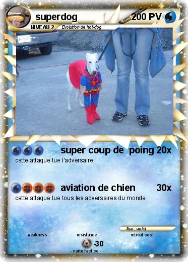 Pokemon superdog