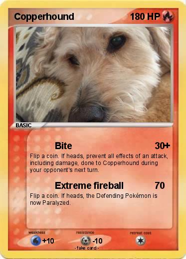 Pokemon Copperhound