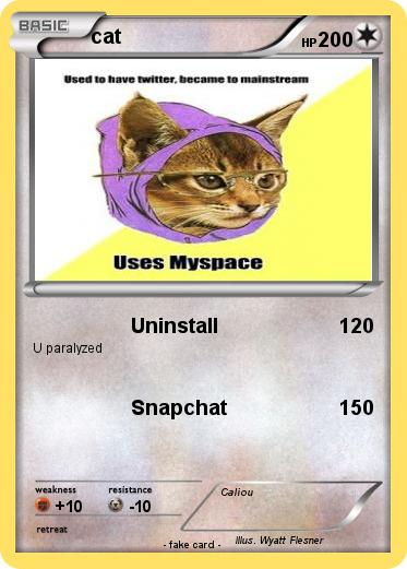 Pokemon cat