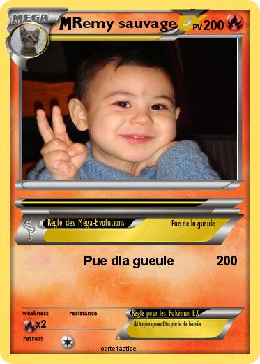 Pokemon Remy sauvage