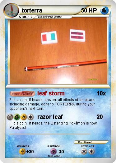 Pokemon torterra