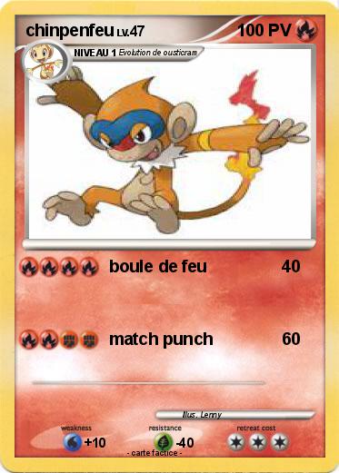 Pokemon chinpenfeu