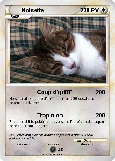 Pokemon Noisette