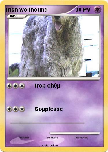 Pokemon irish wolfhound