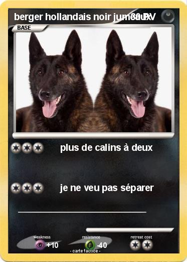 Pokemon berger hollandais noir jumeaux