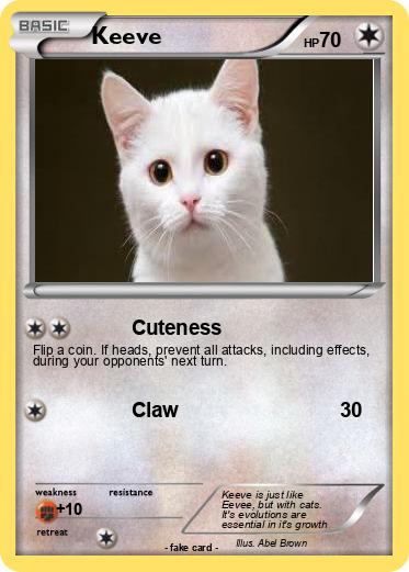 Pokemon Keeve