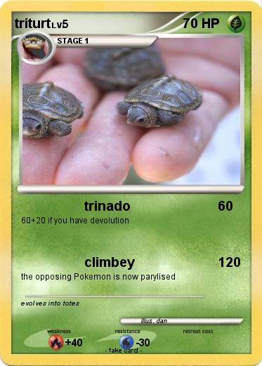 Pokemon triturt