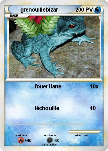 Pokemon grenouillebizar