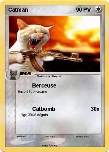 Pokemon Catman