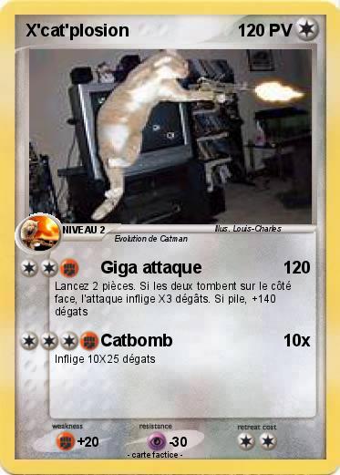Pokemon X'cat'plosion