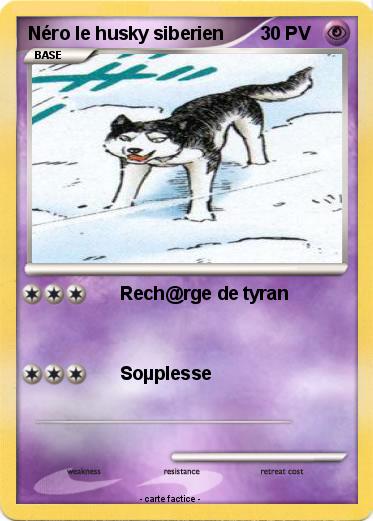 Pokemon Néro le husky siberien