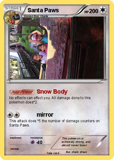 Pokemon Santa Paws