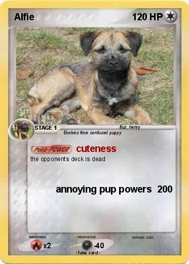 Pokemon Alfie
