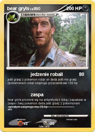 Pokemon bear gryls