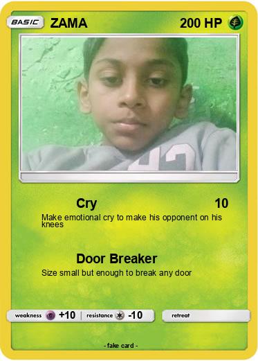 Pokemon ZAMA