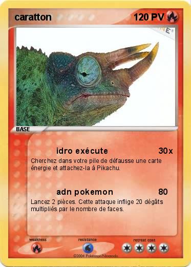 Pokemon caratton