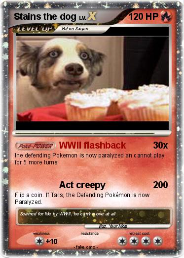 Pokemon Stains the dog