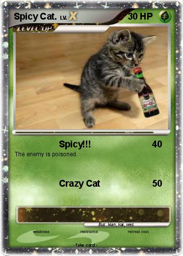 Pokemon Spicy Cat.