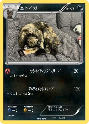 Pokemon 黒トイガー
