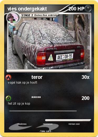 Pokemon vies ondergekakt