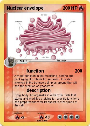 Pokemon Nuclear envelope