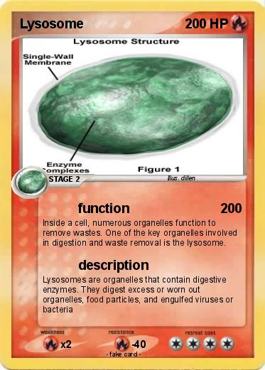 Pokemon Lysosome