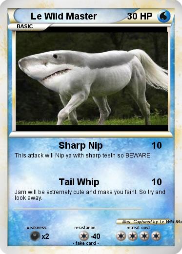 Pokemon Le Wild Master