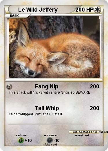 Pokemon Le Wild Jeffery