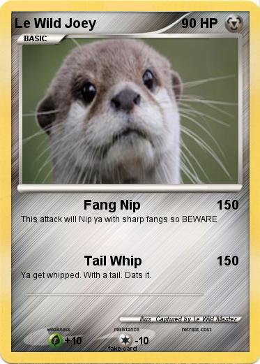 Pokemon Le Wild Joey