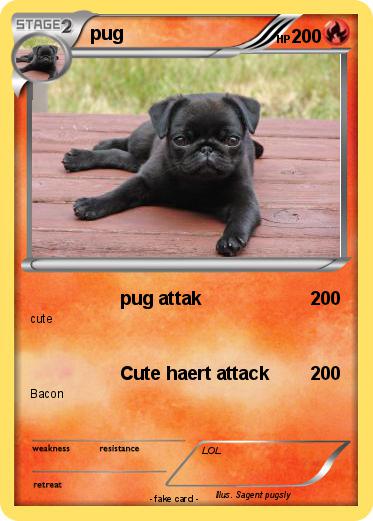 Pokemon pug