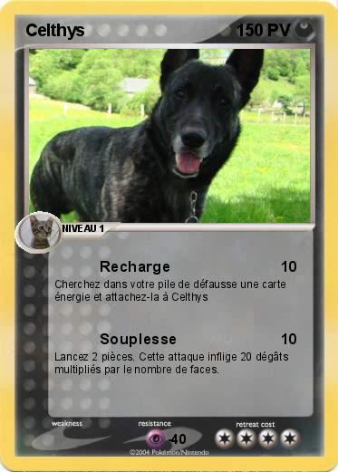 Pokemon Celthys