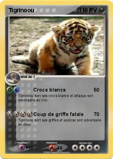 Pokemon Tigrinoou            