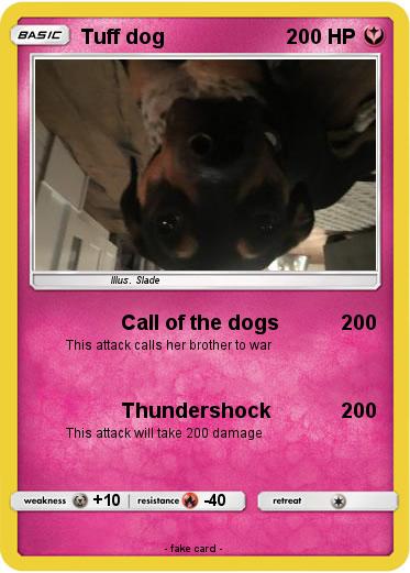 Pokemon Tuff dog