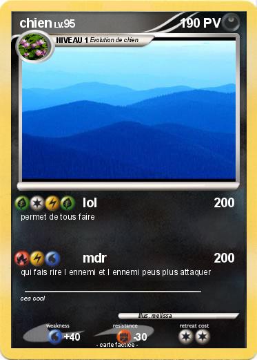 Pokemon chien