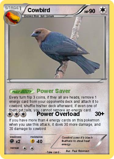 Pokemon Cowbird