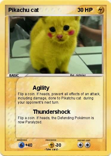 Pokemon Pikachu cat