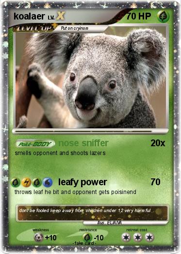 Pokemon koalaer