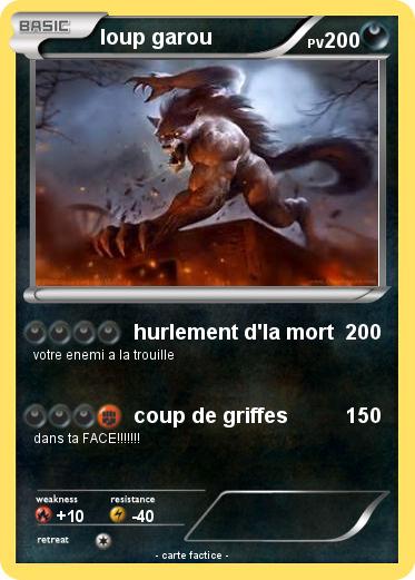 Pokemon loup garou