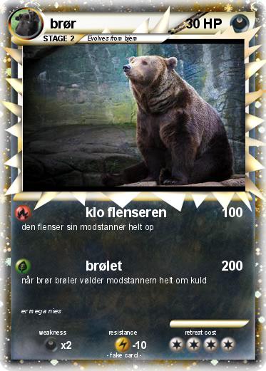 Pokemon brør